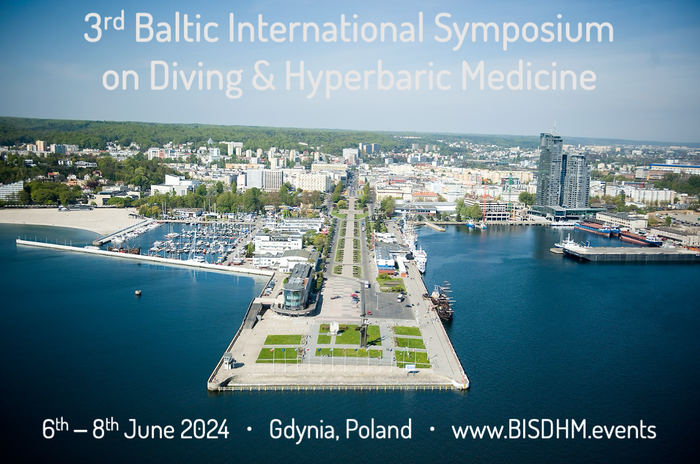 bis_on_dhm_2024_promo.png bis_on_dhm_2024_promo.png