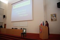 IMG_7139.JPG