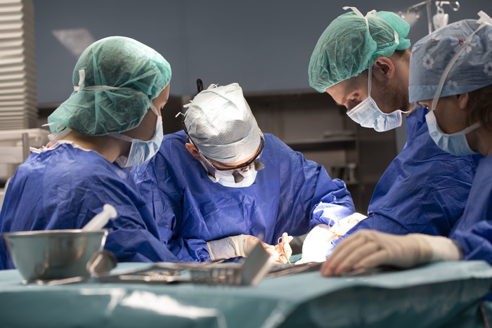 transplant_wątroba_fot.Sylwia_Mierzewska_UCK_1.jpg