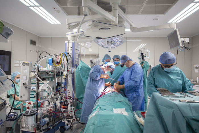 transplant_SERCE_fot.Sylwia_Mierzewska_UCK_24.jpg