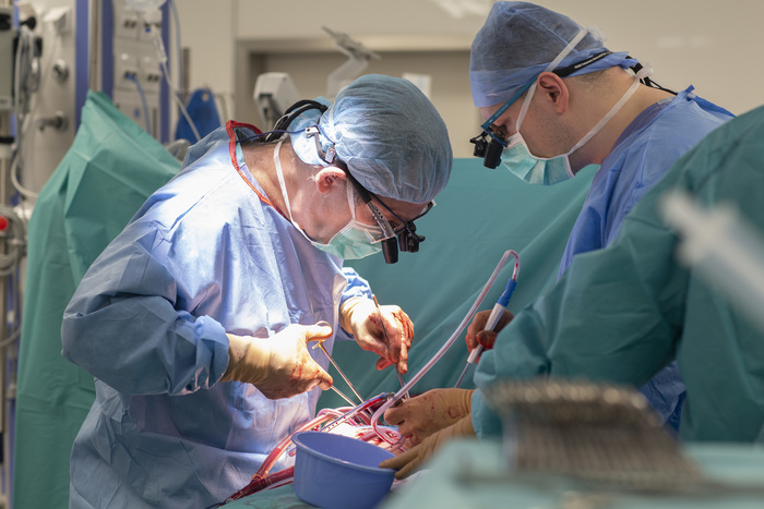 transplant_SERCE_fot.Sylwia_Mierzewska_UCK_50.jpg
