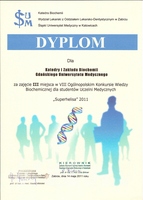 superhelisa_2011.jpg