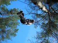 DSCN1278.JPG