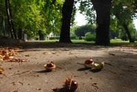 foto: Iwona Delegiewicz