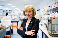 prof. Anna Dominiczak