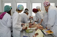 Podczas zajęć z anatomii