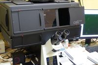 DSC00564.JPG
