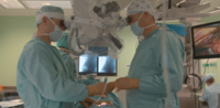 dr Marek Rocławski, dr hab. Rafał Pankowski
