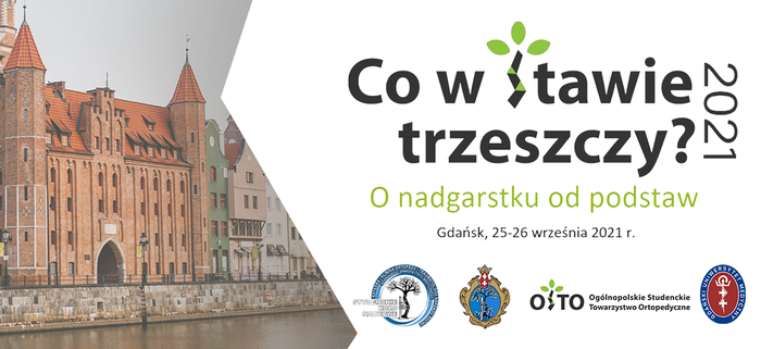 plakat konferencji