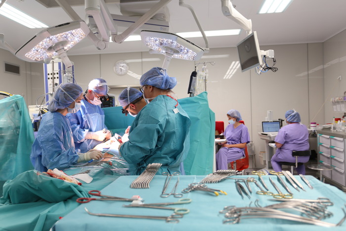 transplantacja płuc