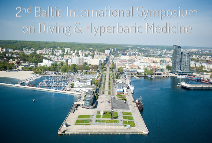 BIS_on_DHM_2022_Promo_slide.png