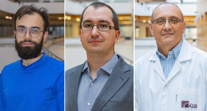 dr_Bartłomiej_Tomasik__dr_Michał_Bieńkowski__prof._Jacek_Jassem.png dr_Bartłomiej_Tomasik__dr_Michał_Bieńkowski__prof._Jacek_Jassem.png